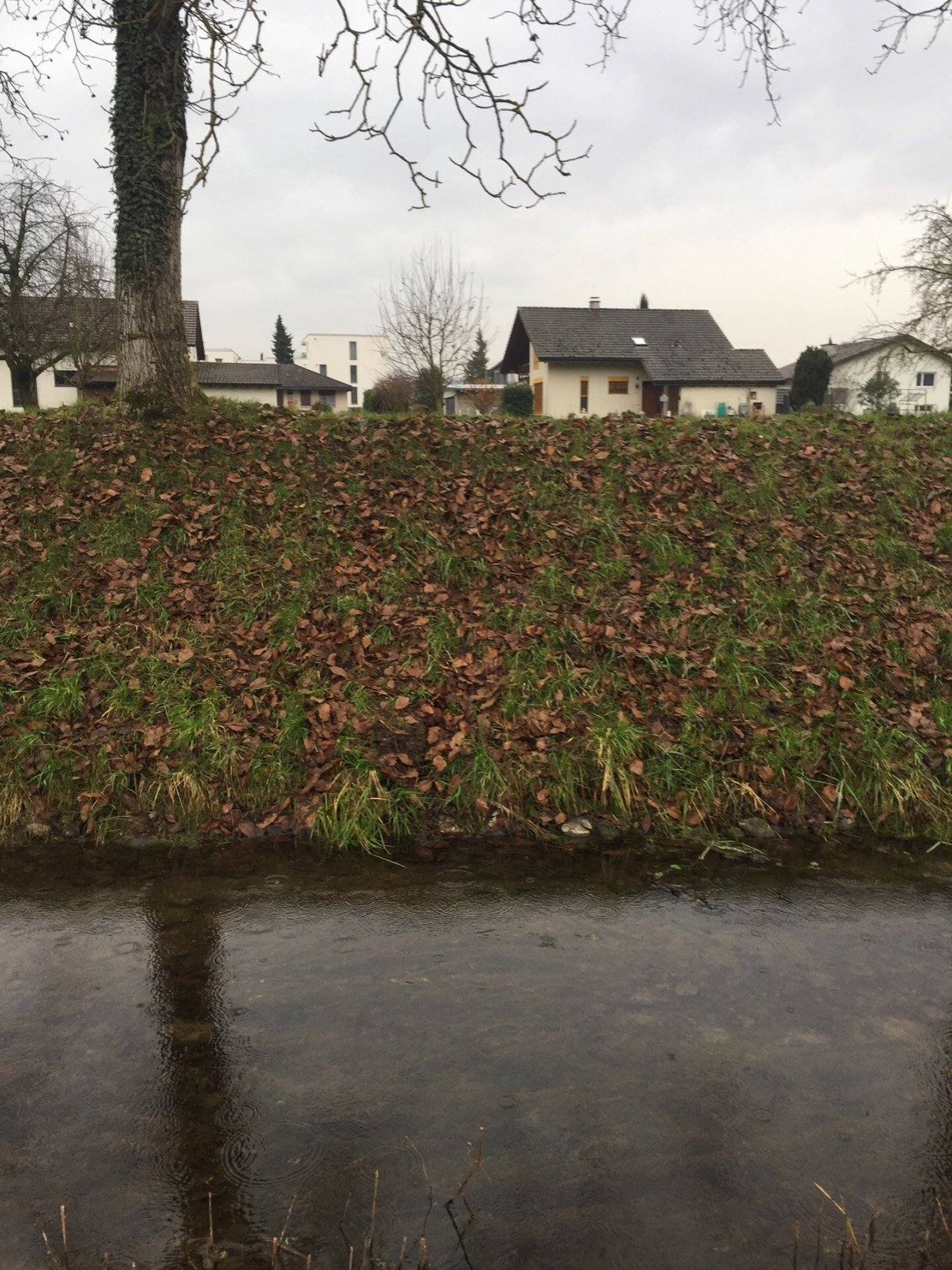 virtual scale in CrowdWater App spotted by Anja Mohn on 15.12.2020