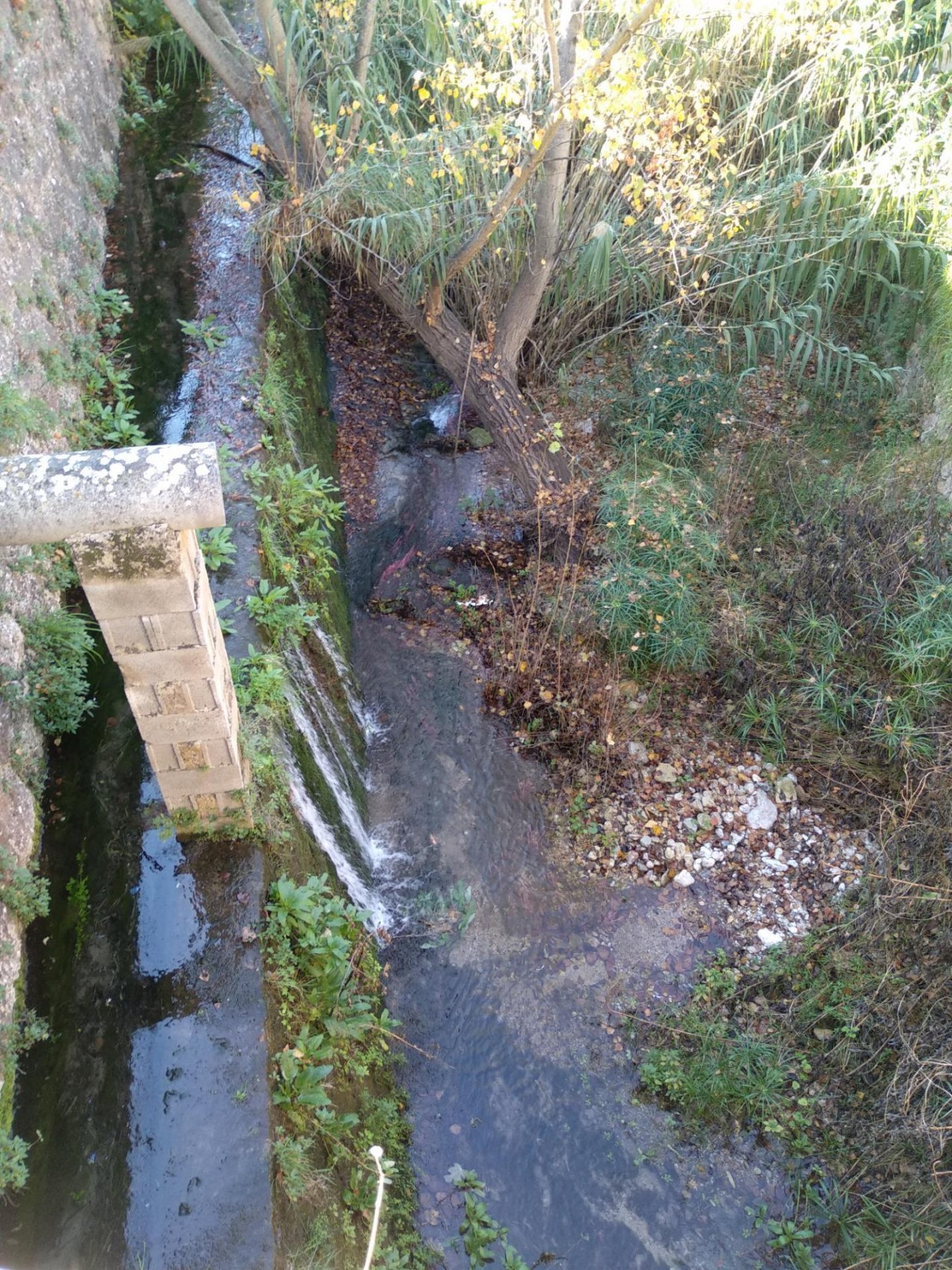 temporary stream in CrowdWater App spotted by Josep, Fortesa on 22.12.2020