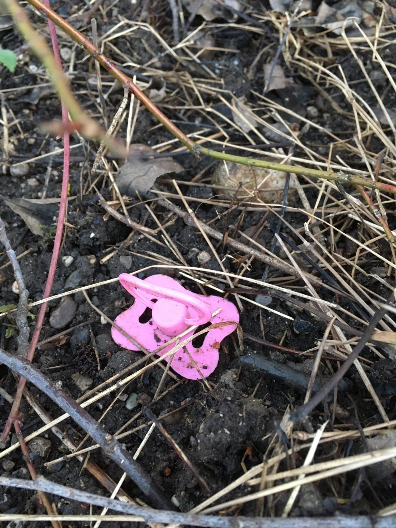 litter in DRECKSPOTZ | GLOBAL 2000 App spotted by Reiwei on 17.02.2021