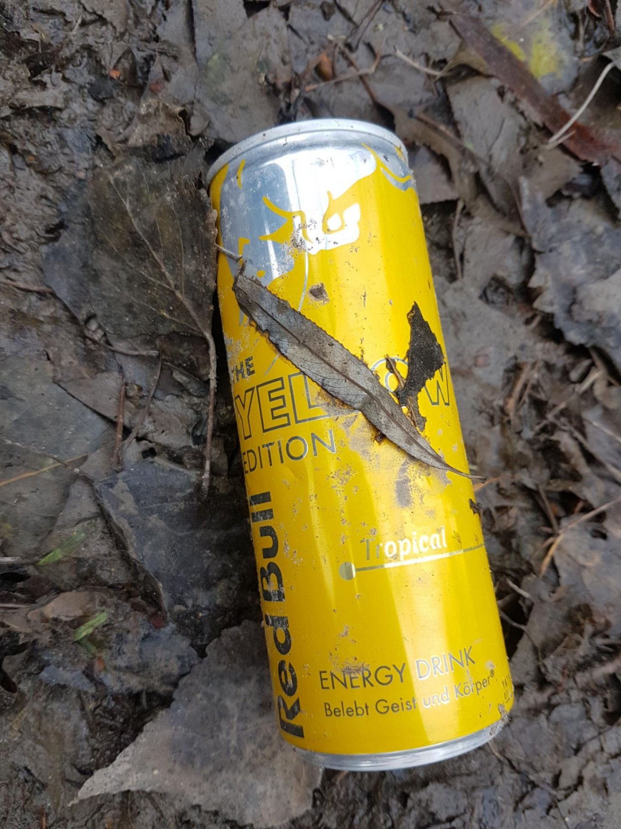 litter in DRECKSPOTZ | GLOBAL 2000 App spotted by Fabiii on 21.12.2020