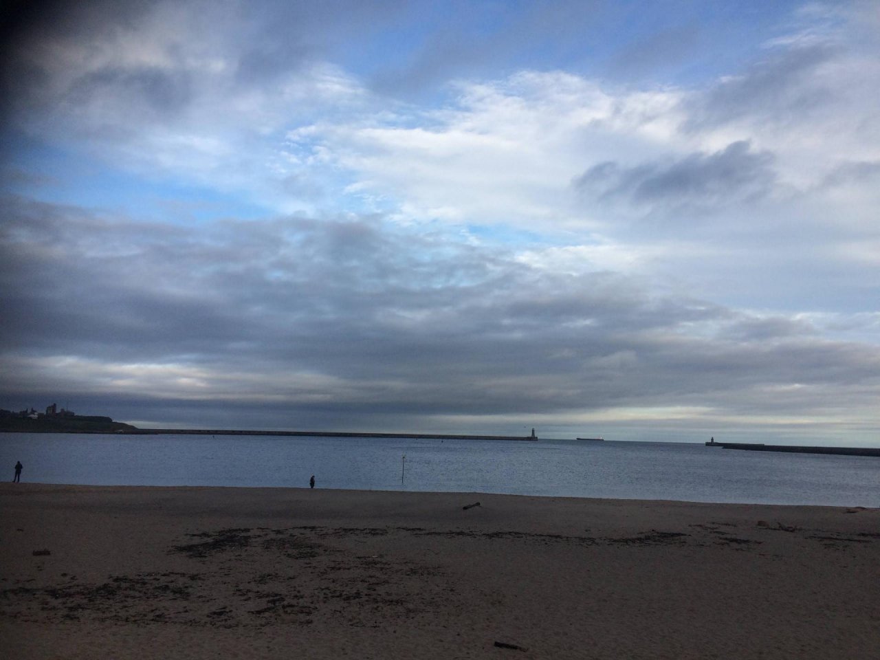 Free Roaming in CoastSnap App spotted by Allison Carpenter on 17.11.2020