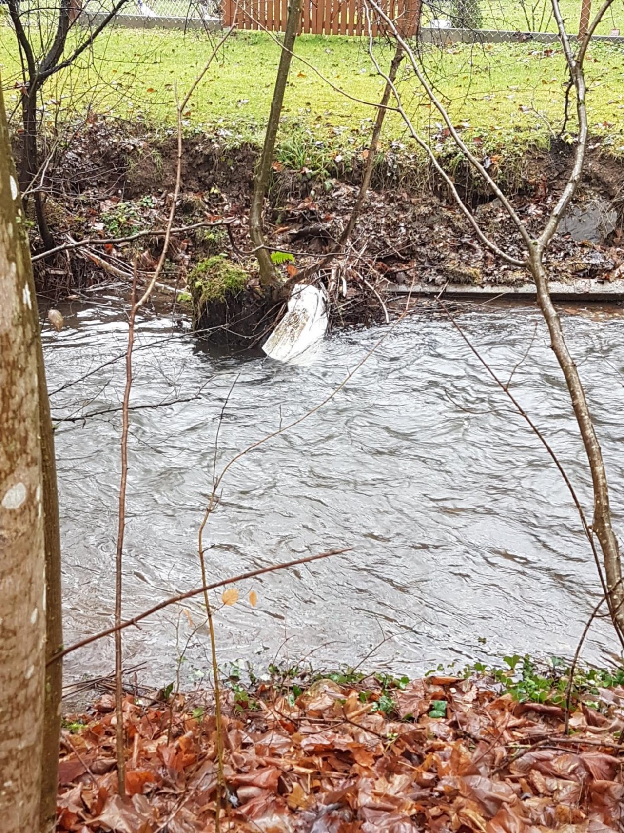 virtual scale in CrowdWater App spotted by Bergi on 15.12.2020