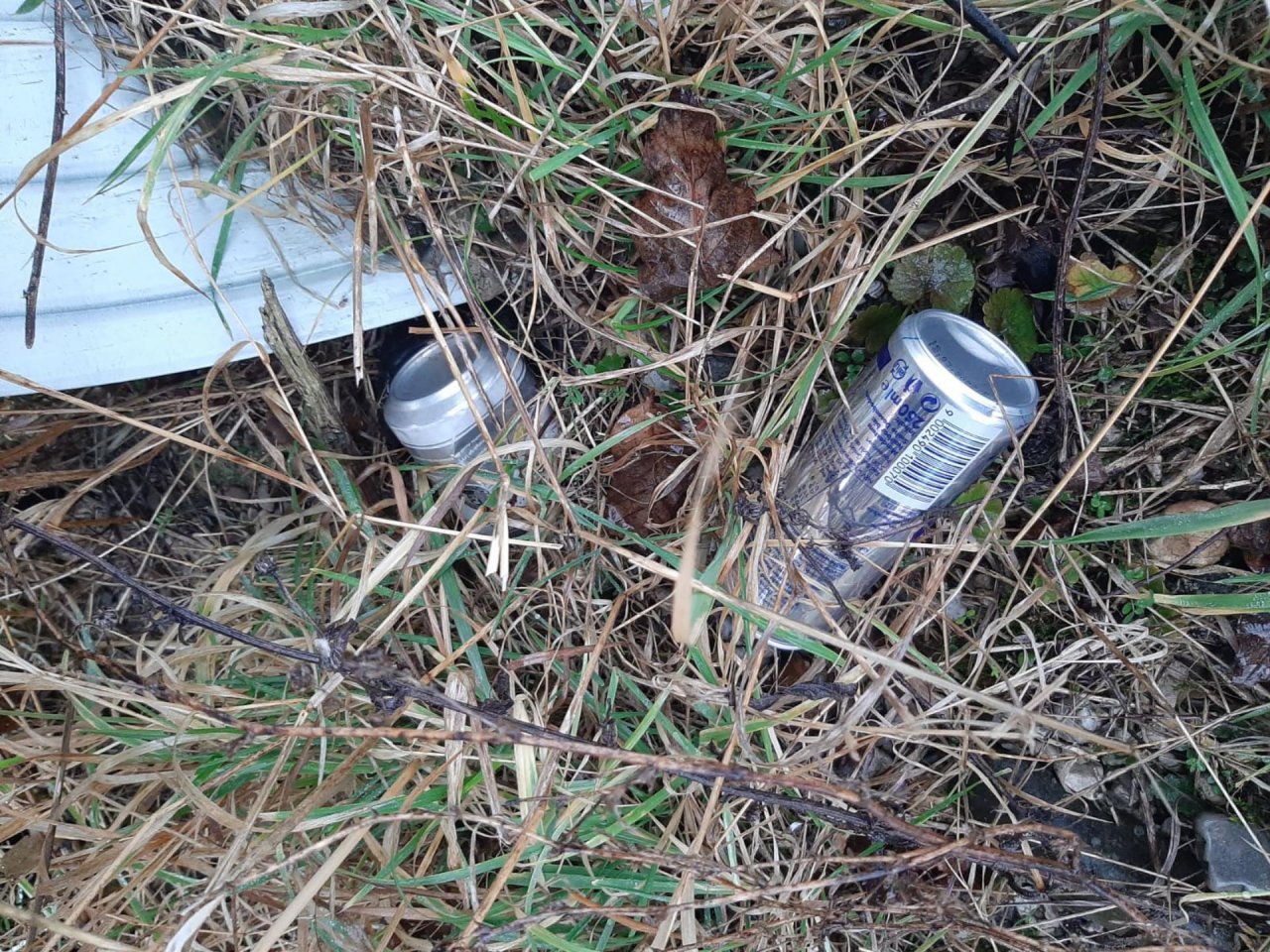 litter in DRECKSPOTZ | GLOBAL 2000 App spotted by Dreckspitz on 07.02.2021
