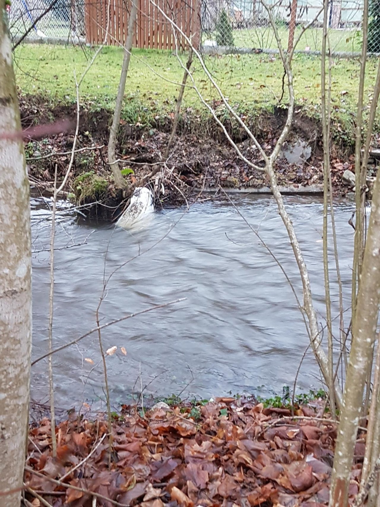 virtual scale in CrowdWater App spotted by Bergi on 13.12.2020