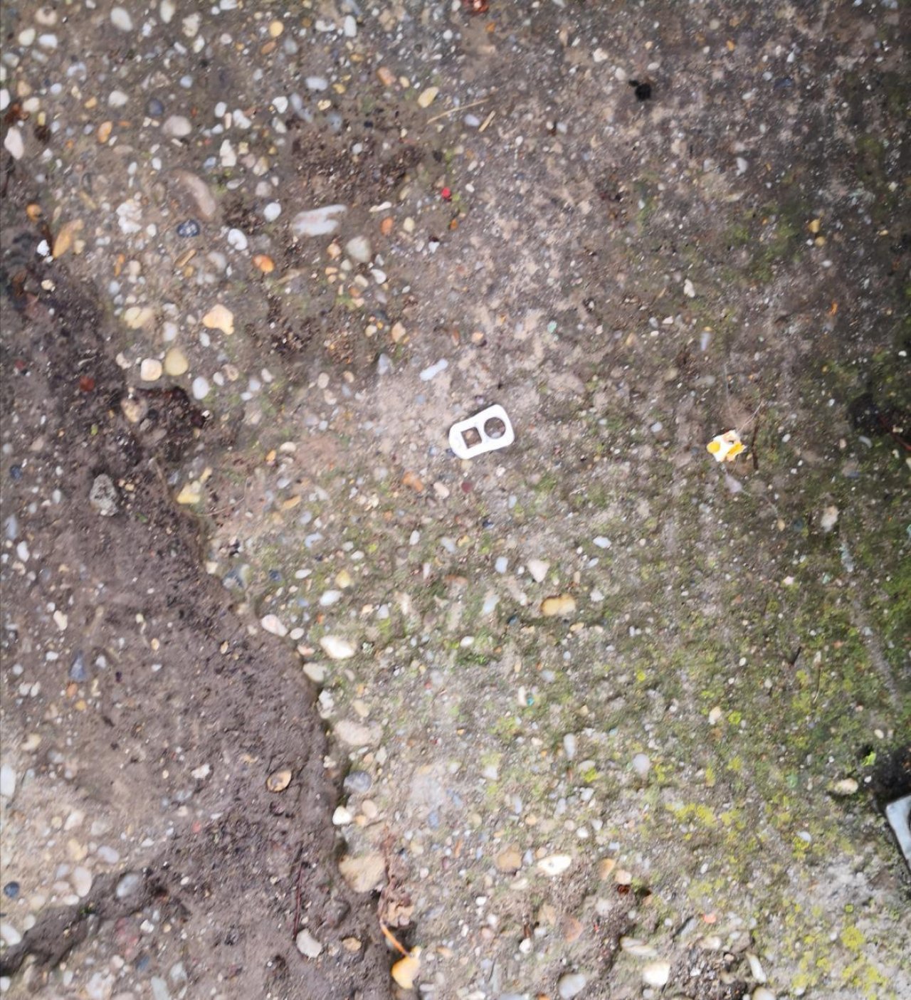 litter in DRECKSPOTZ | GLOBAL 2000 App spotted by Gina1234 on 13.12.2020