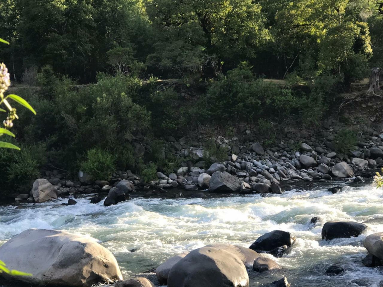 Foto: Fernanda | CrowdWater App | 08.12.2020