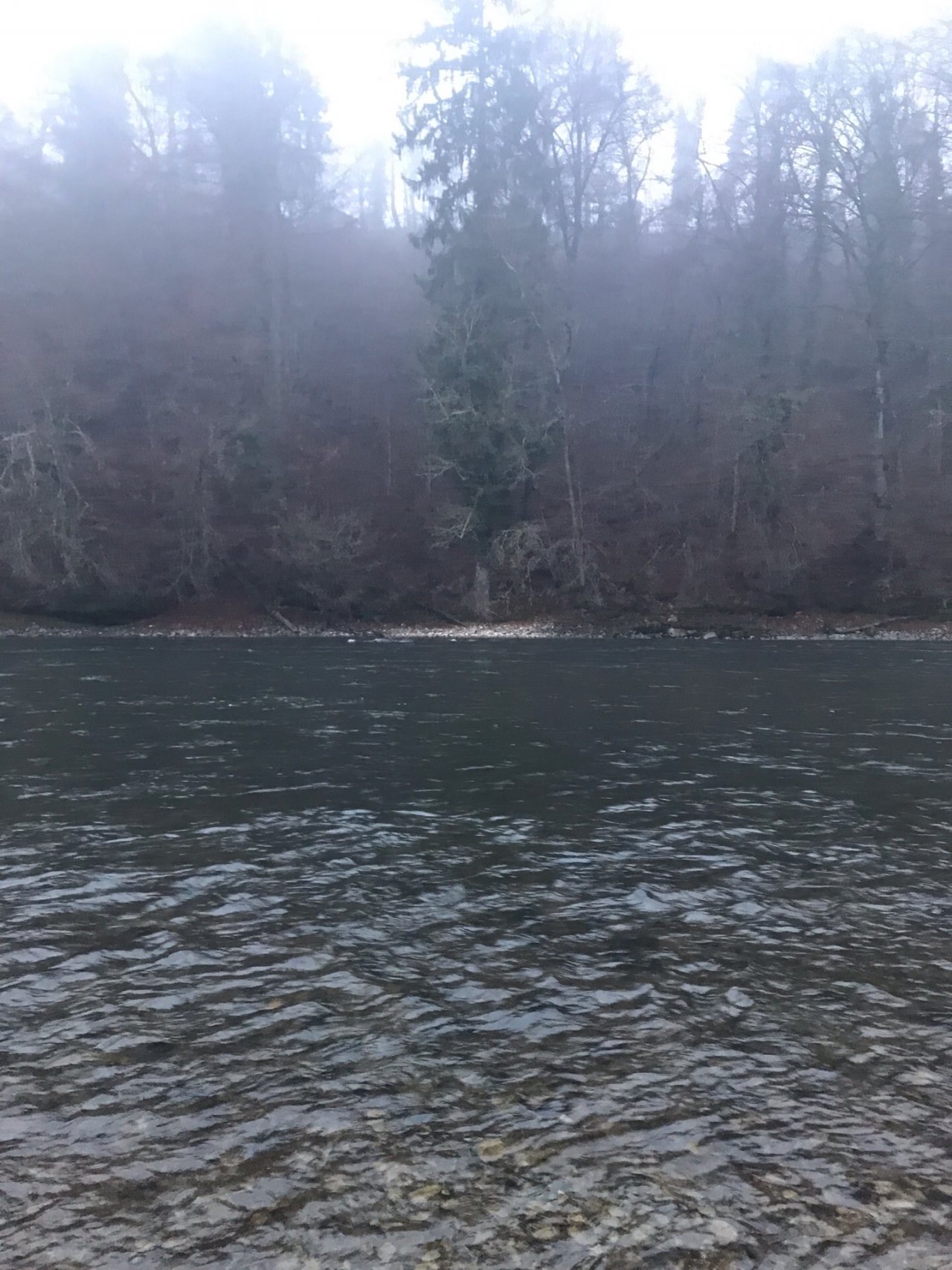 virtual scale in CrowdWater App spotted by sarvishtamehta on 16.12.2020