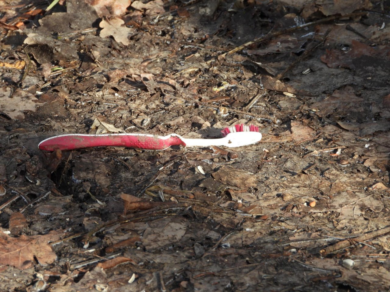 litter in DRECKSPOTZ | GLOBAL 2000 App spotted by Harald MARK on 09.01.2021