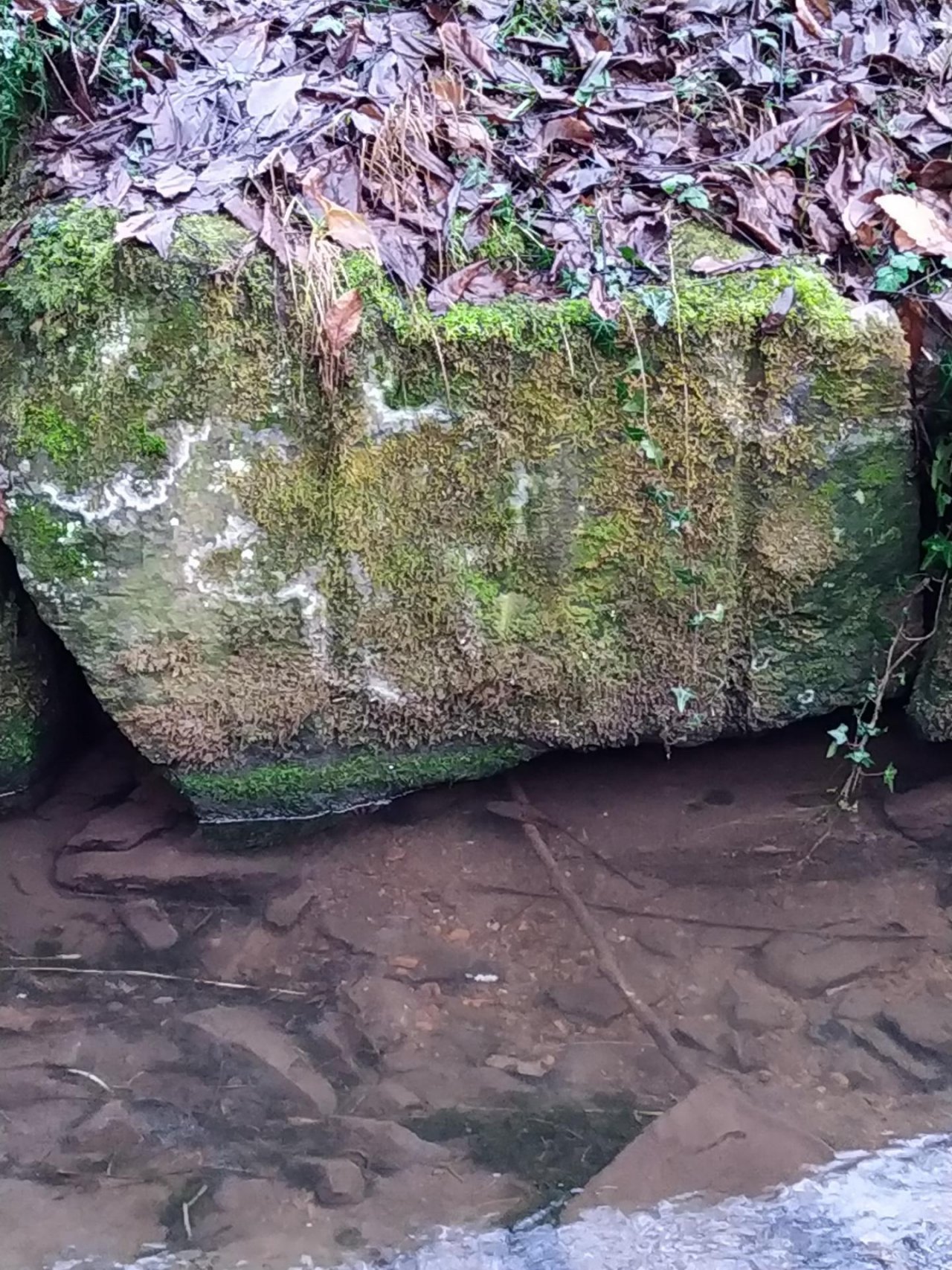 physical scale in CrowdWater App spotted by NoahatArk on 21.12.2020