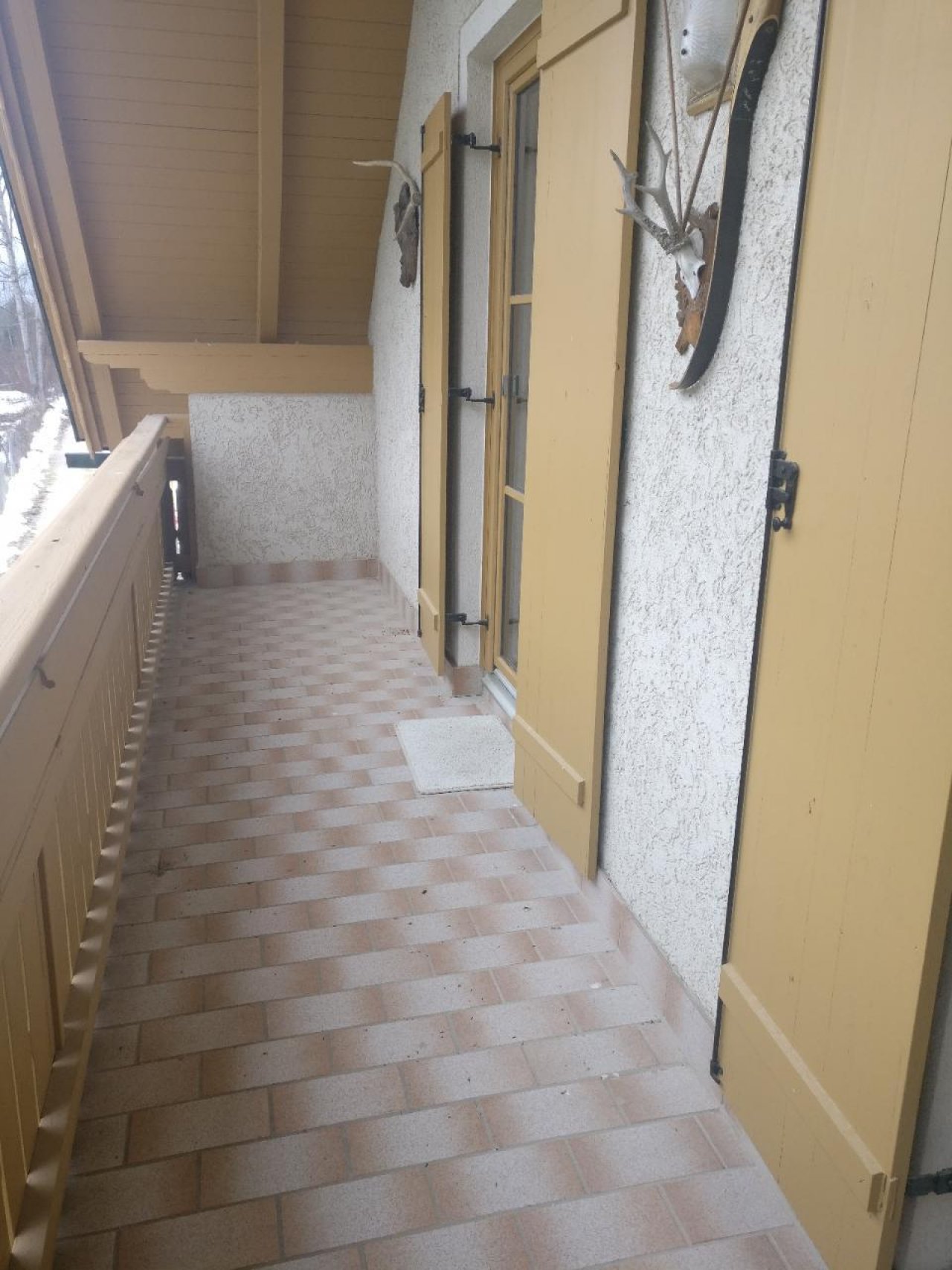 Eine andere Tierart in Naturkalender App spotted by Susi on 22.12.2020