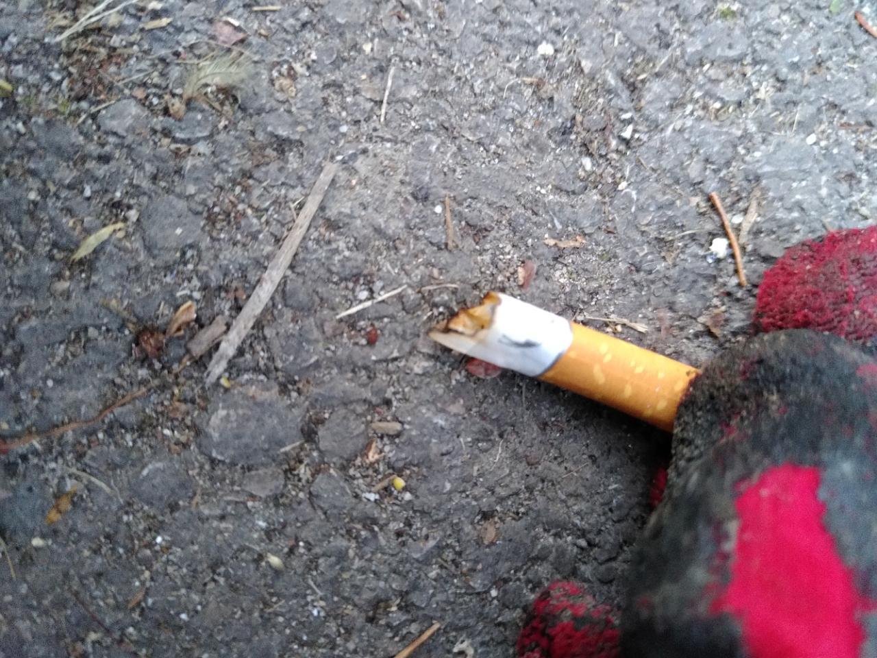 litter in DRECKSPOTZ | GLOBAL 2000 App spotted by TheOSWR on 14.12.2020