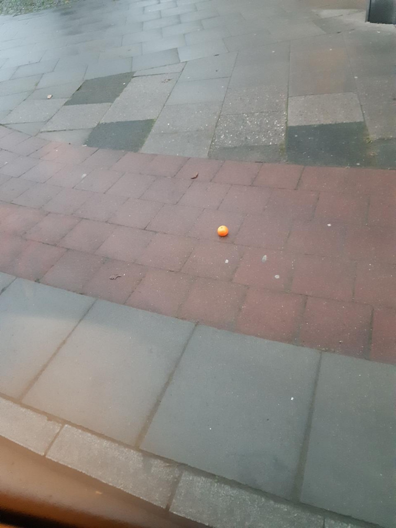 Aus Bus heraus erspäht. | DRECKSPOTZ | GLOBAL 2000 App | 10.12.2020