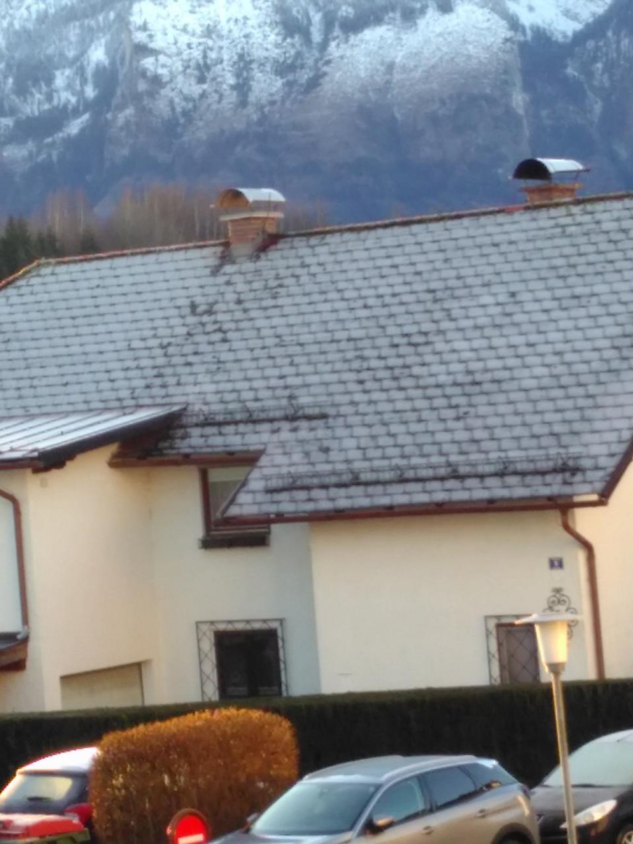 Reif in Naturkalender App spotted by Doris Stampfer on 14.12.2020