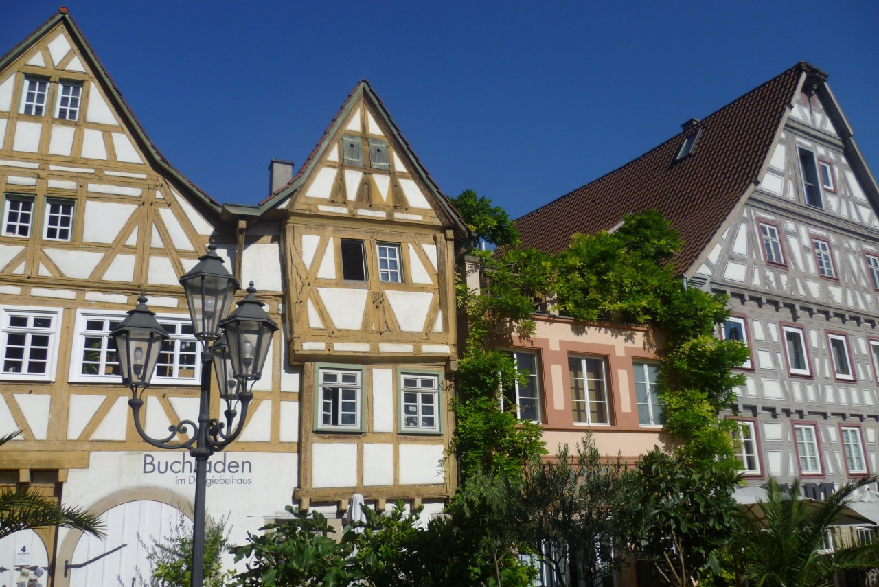 eine heimelige Kulisse | Landauf, LandApp BW App | 10.12.2020