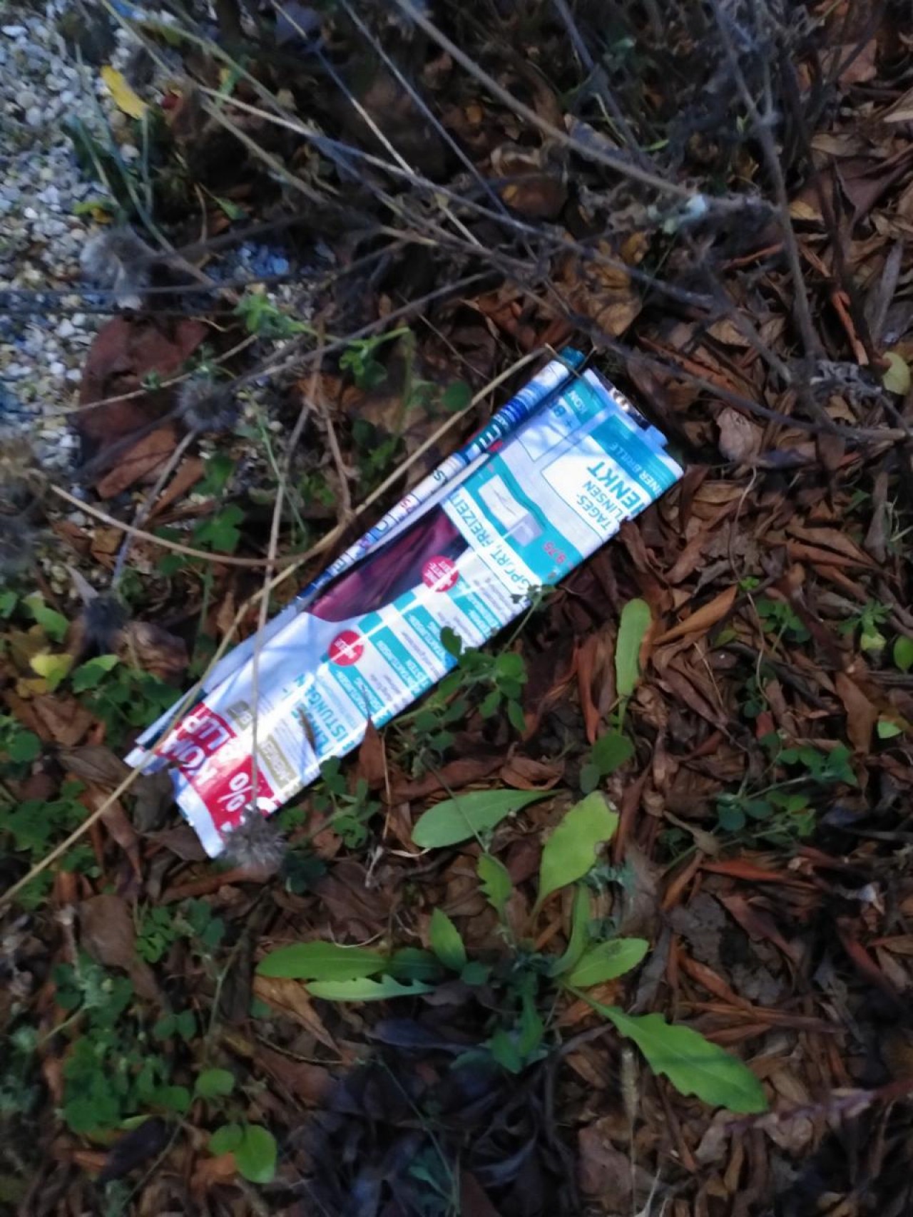 schon wieder werbezeitung... | DRECKSPOTZ | GLOBAL 2000 App | 09.12.2020