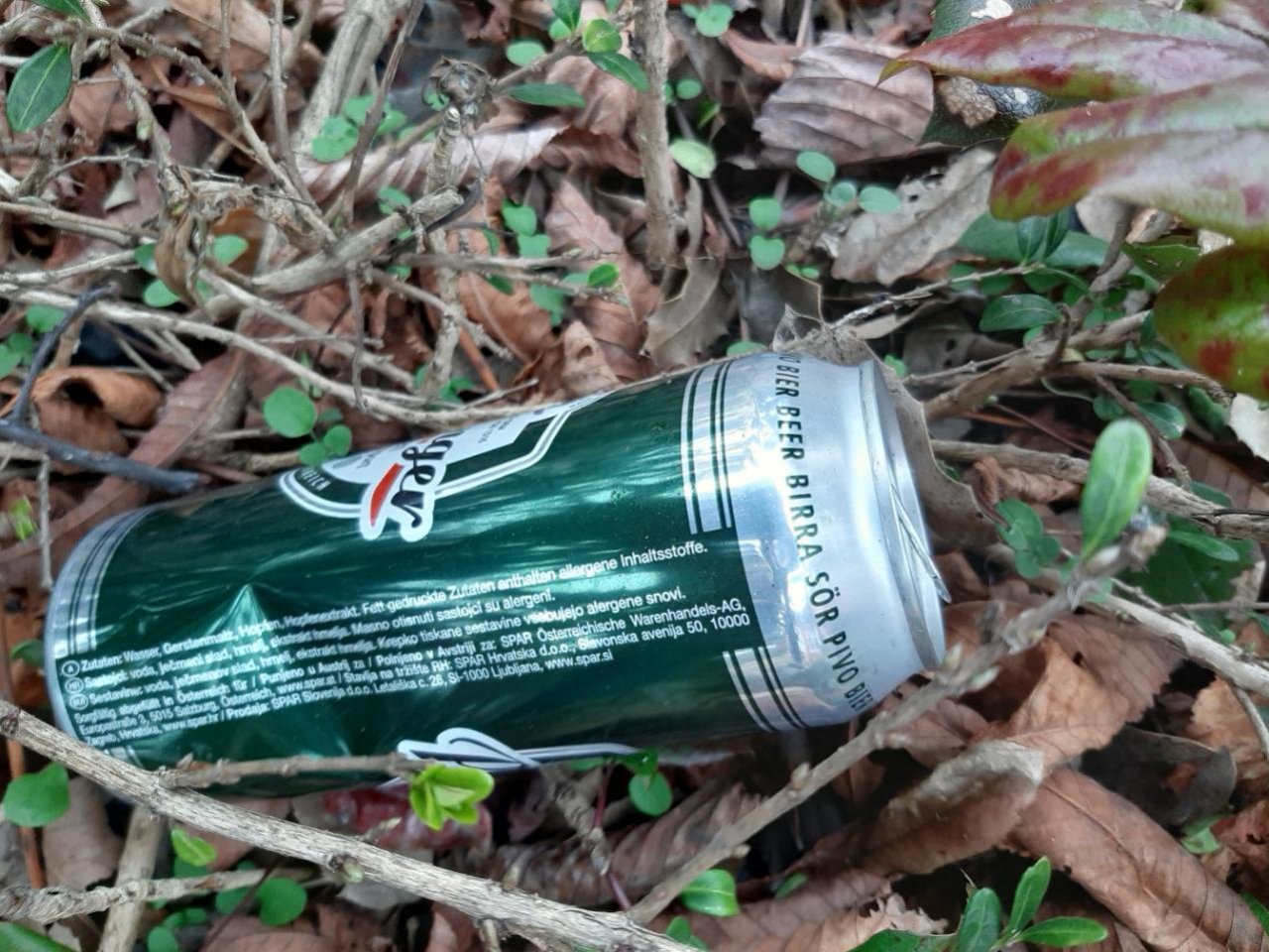 litter in DRECKSPOTZ | GLOBAL 2000 App spotted by Gudrun H. on 18.12.2020