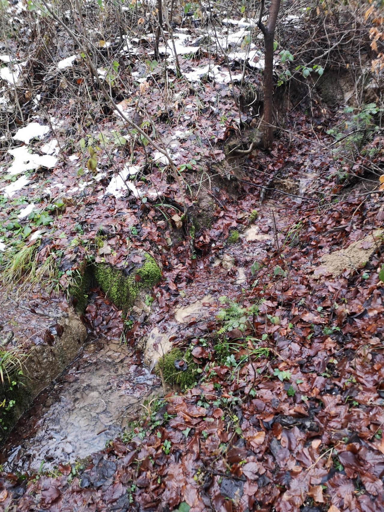 temporary stream in CrowdWater App spotted by muenchere on 13.12.2020