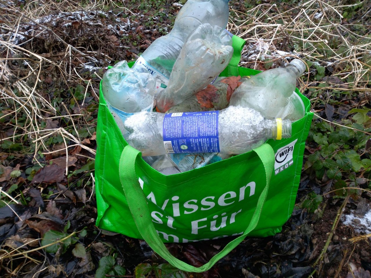 litter in DRECKSPOTZ | GLOBAL 2000 App spotted by Principessa on 04.01.2021
