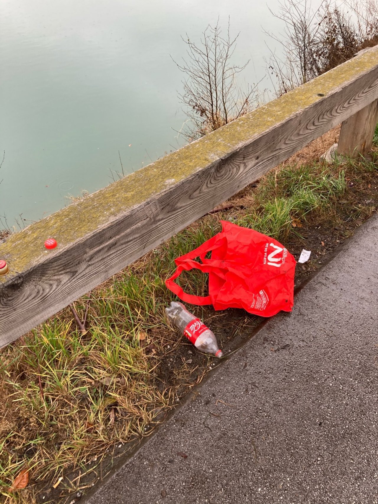 litter in DRECKSPOTZ | GLOBAL 2000 App spotted by HansDum on 13.12.2020