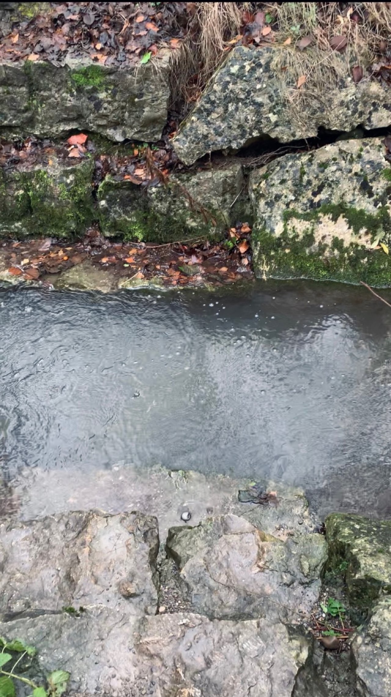 virtual scale in CrowdWater App spotted by Yarraa on 11.12.2020