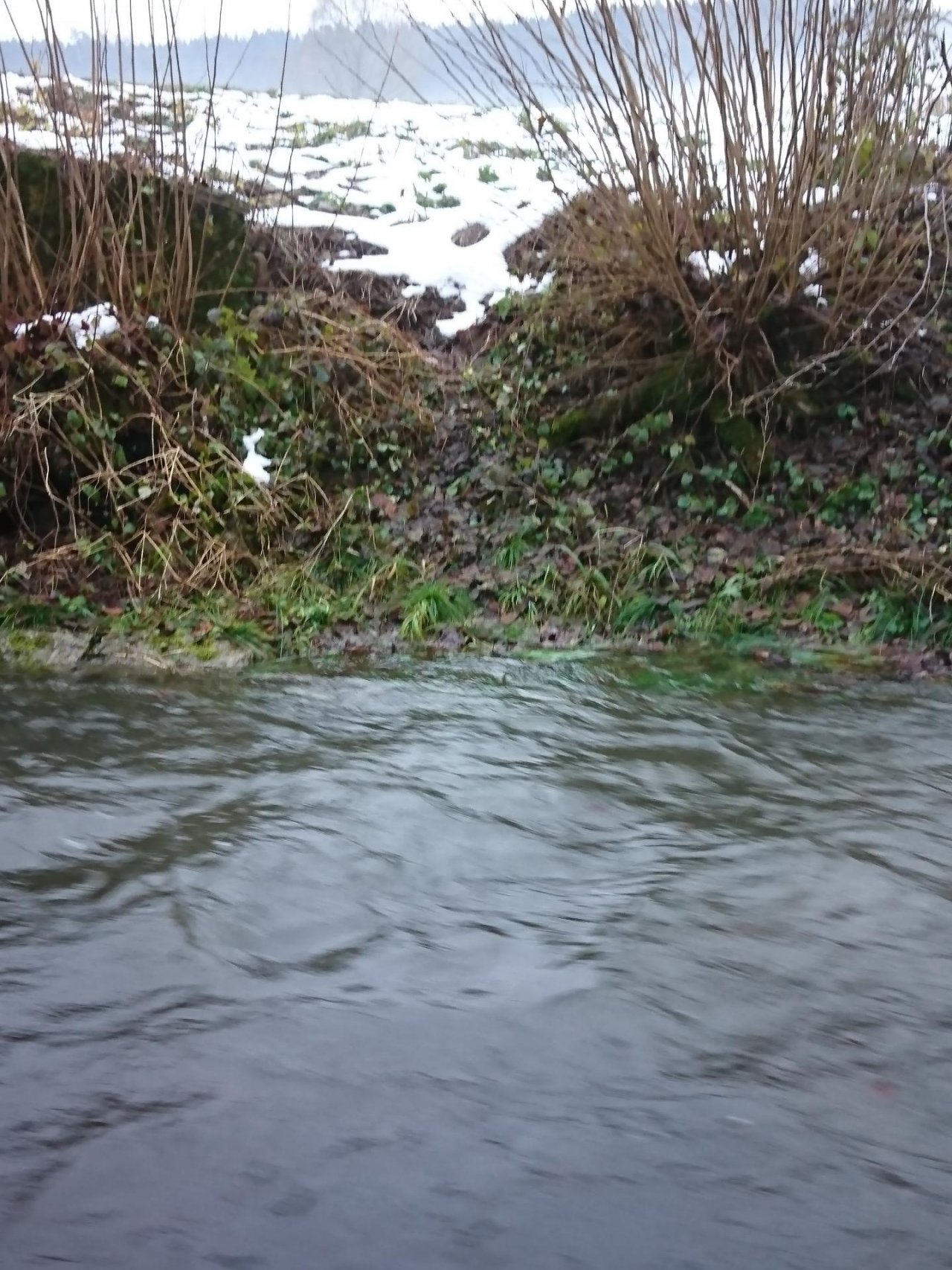 virtual scale in CrowdWater App spotted by MonikaD on 13.12.2020