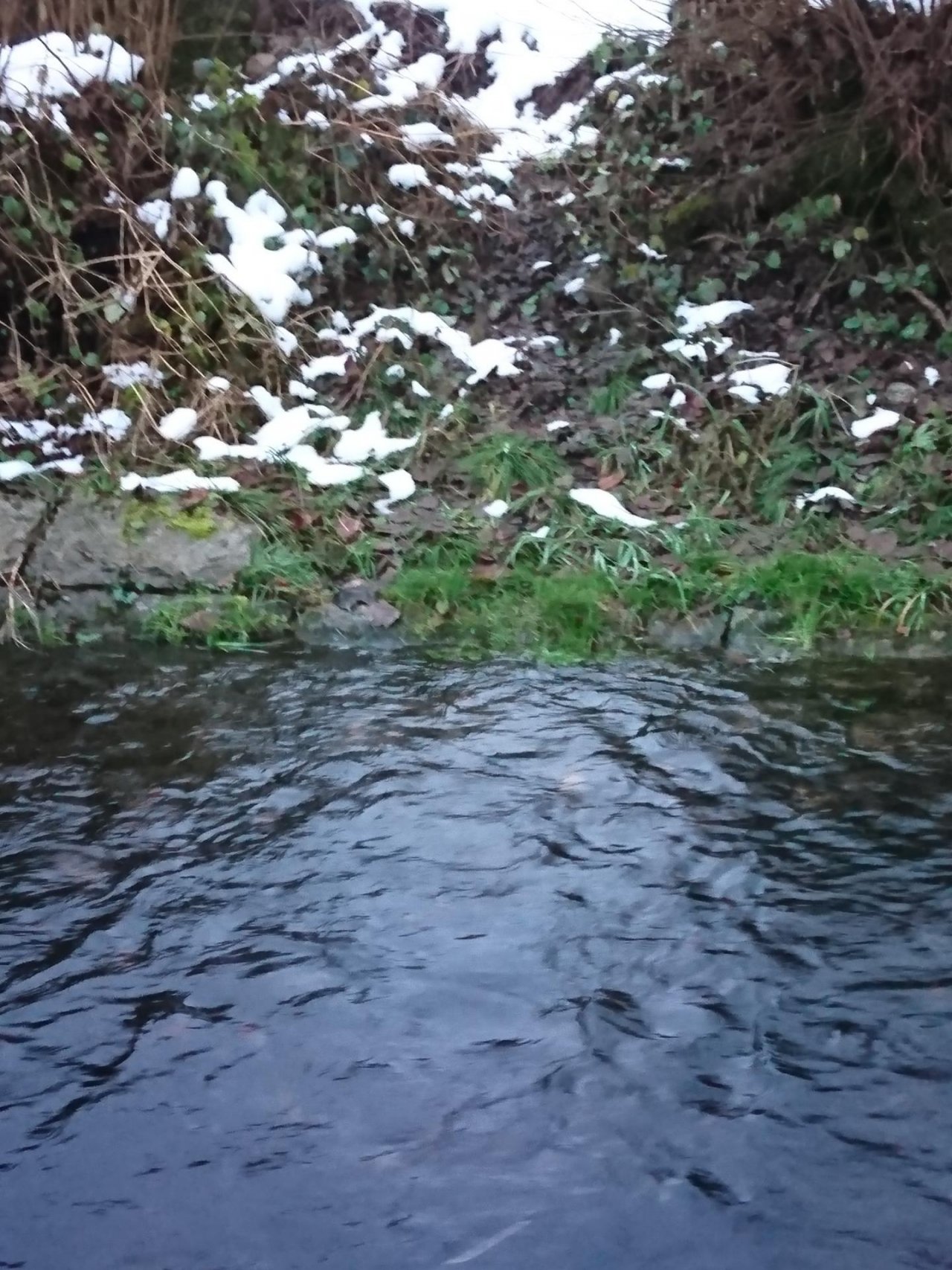 virtual scale in CrowdWater App spotted by MonikaD on 12.12.2020