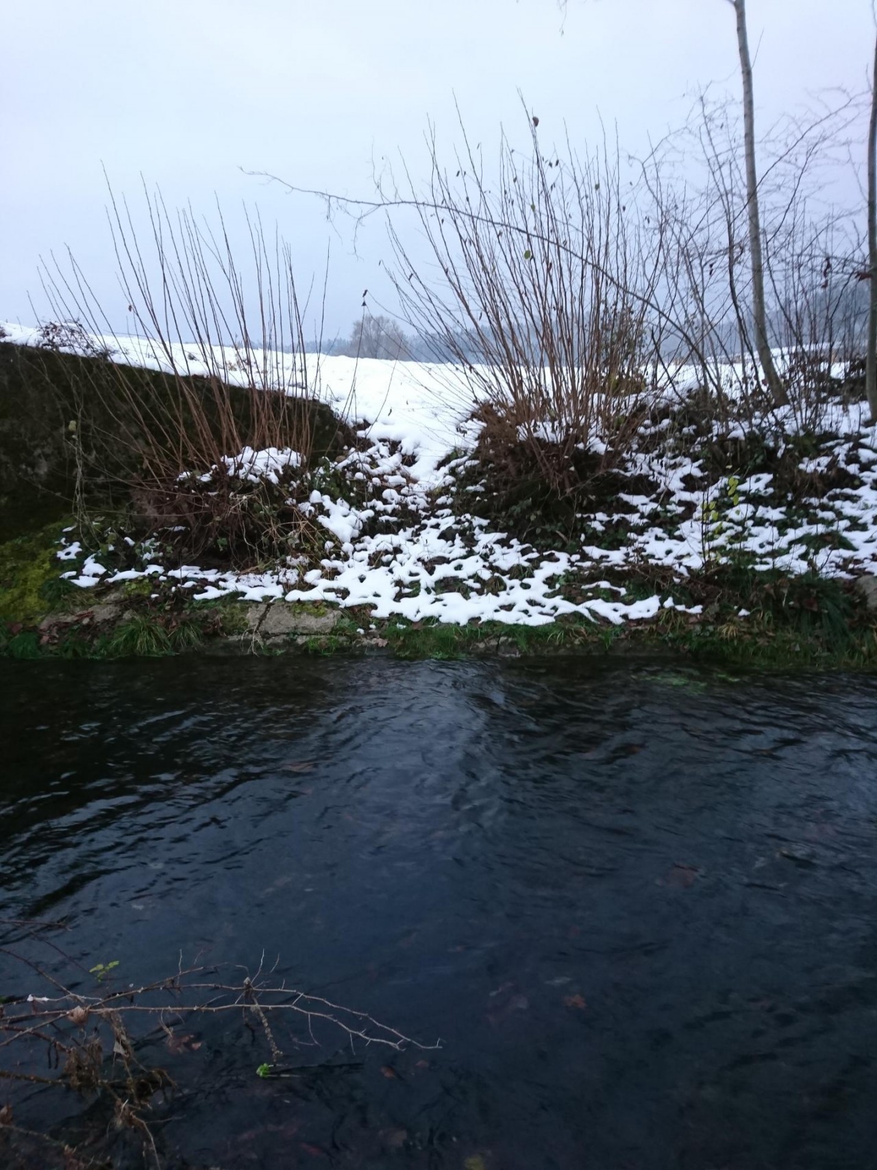 virtual scale in CrowdWater App:  spotted by MonikaD on 10.12.2020