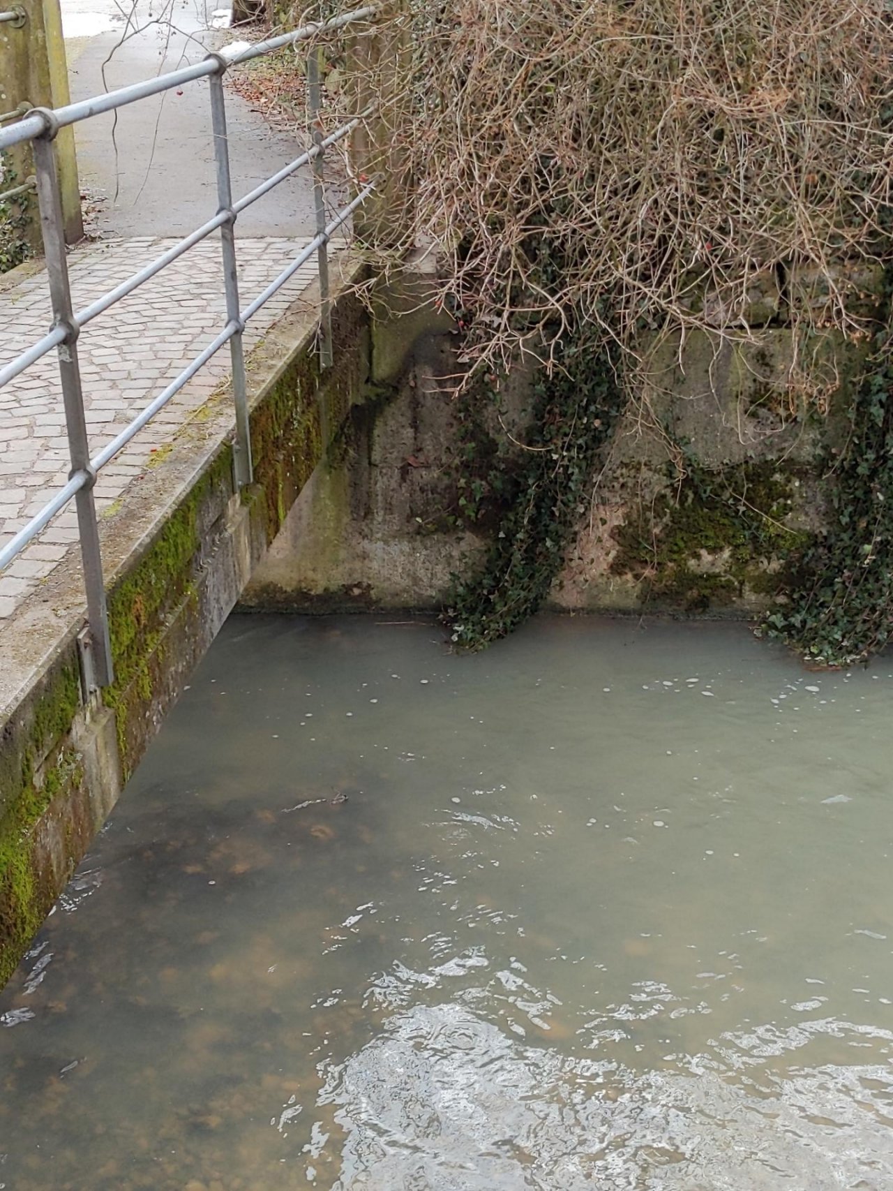 virtual scale in CrowdWater App spotted by Hydro Jk on 26.01.2021