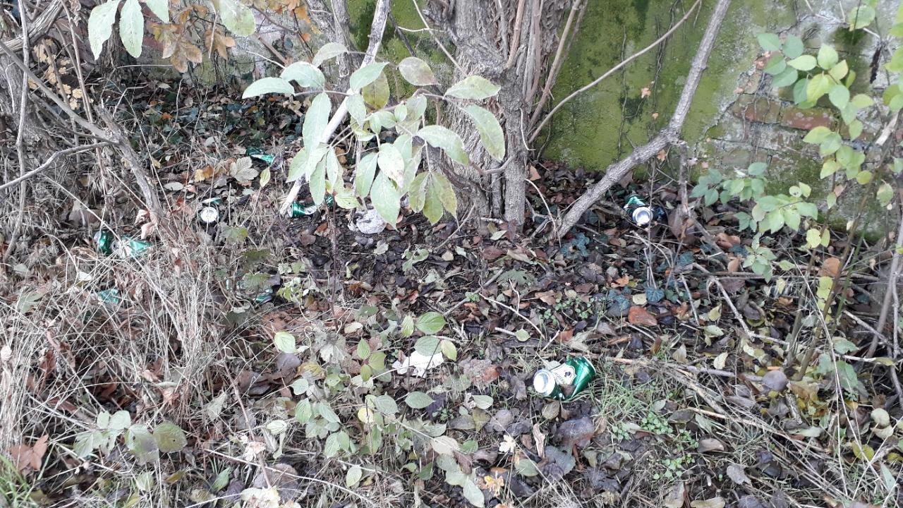 litter in DRECKSPOTZ | GLOBAL 2000 App spotted by GeoNettl on 06.12.2020