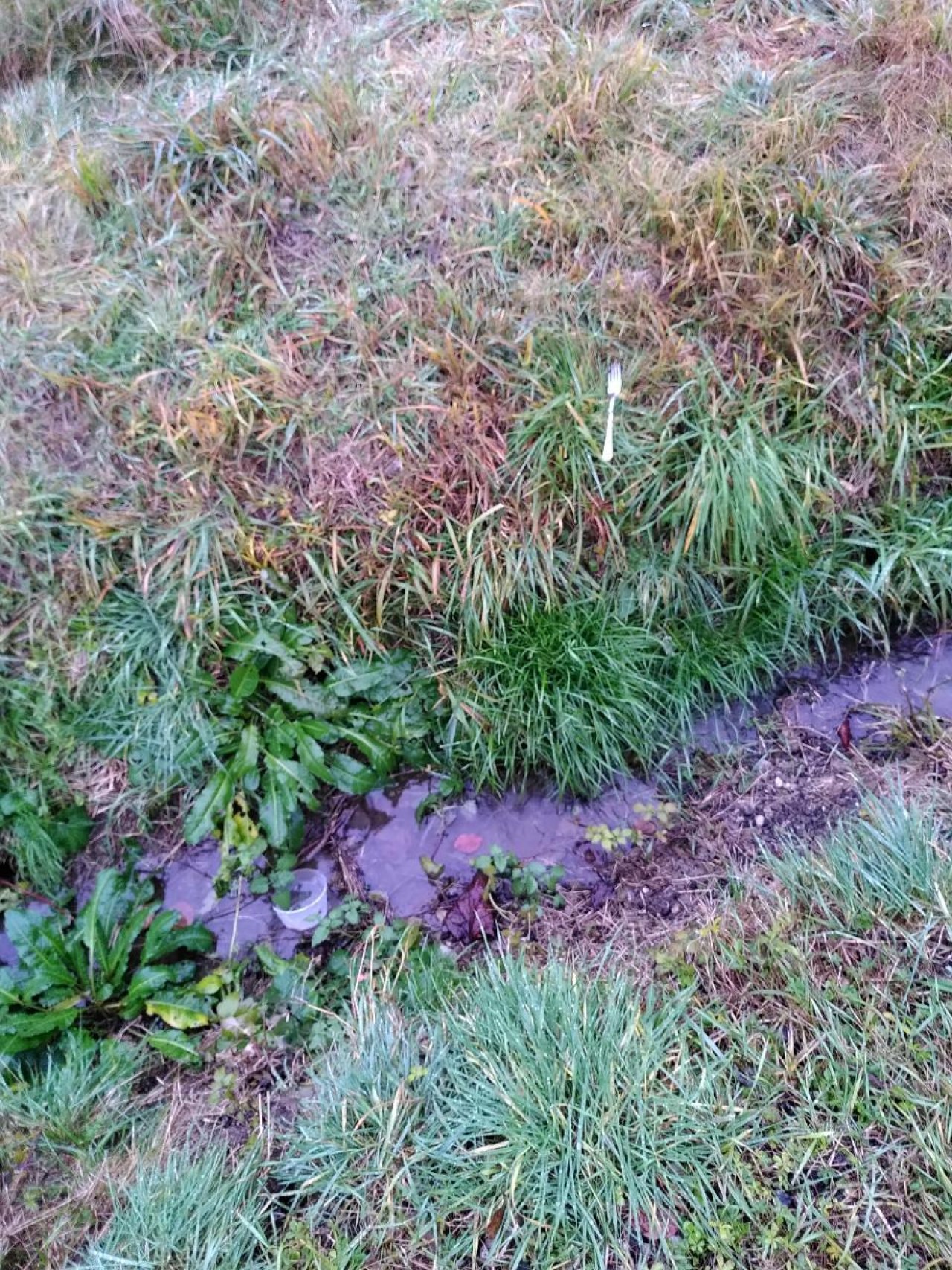 😑😶😒Gabel und Becher.. | DRECKSPOTZ | GLOBAL 2000 App | 10.12.2020