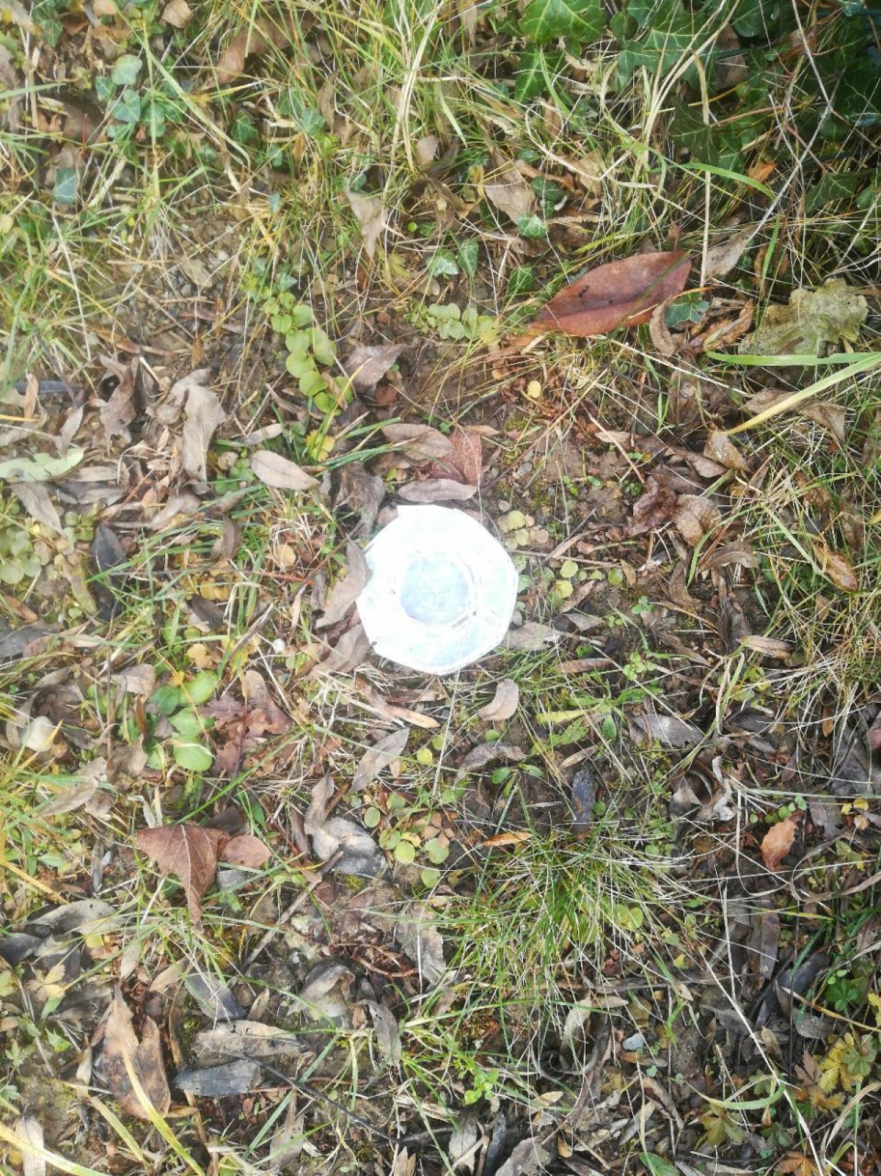 litter in DRECKSPOTZ | GLOBAL 2000 App spotted by Aramis2008 on 22.12.2020