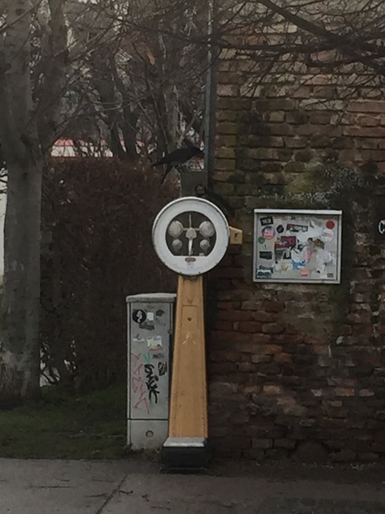 Hybrid (Carrion / Hooded) in KraMobil App spotted by Katharina on 23.12.2020