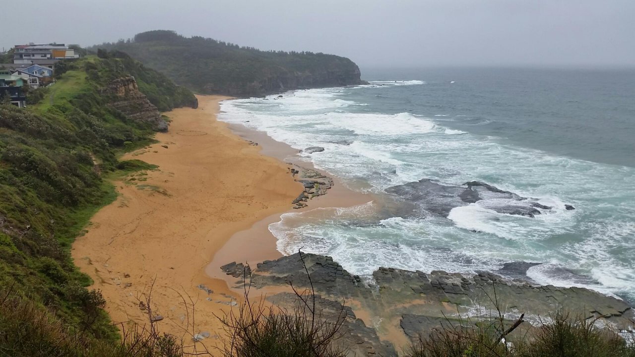 Free Roaming in CoastSnap App spotted by Lewis Slarke on 19.12.2020