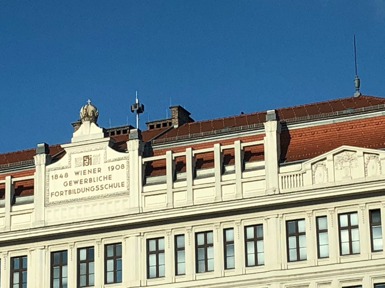 Hooded Crow in KraMobil App spotted by Krarin on 11.01.2021