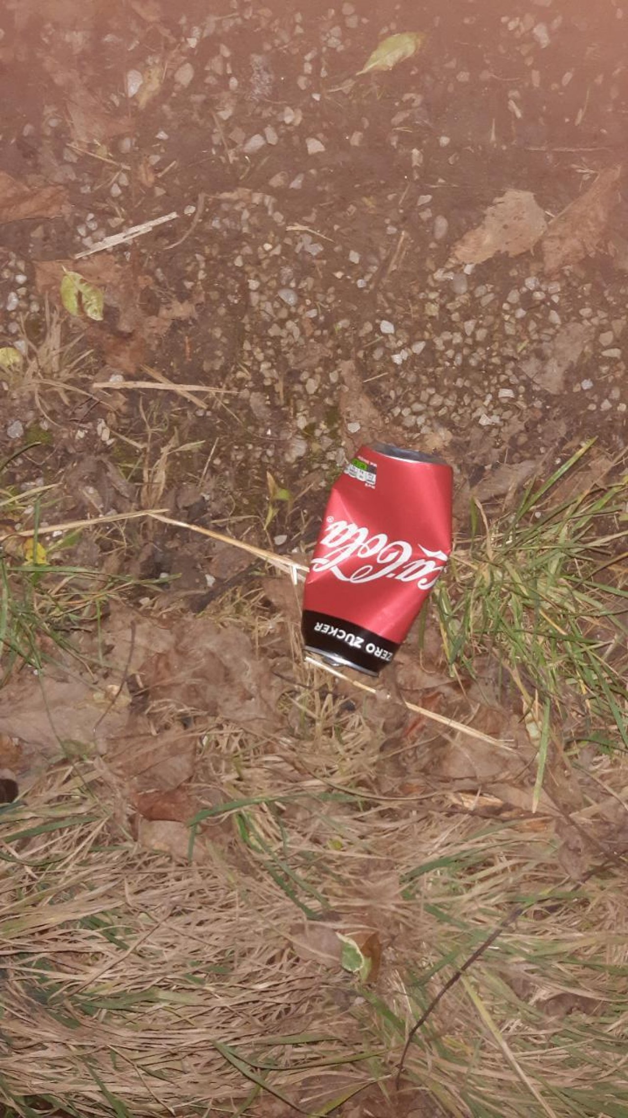 litter in DRECKSPOTZ | GLOBAL 2000 App spotted by Rudolf Haselböck on 15.12.2020