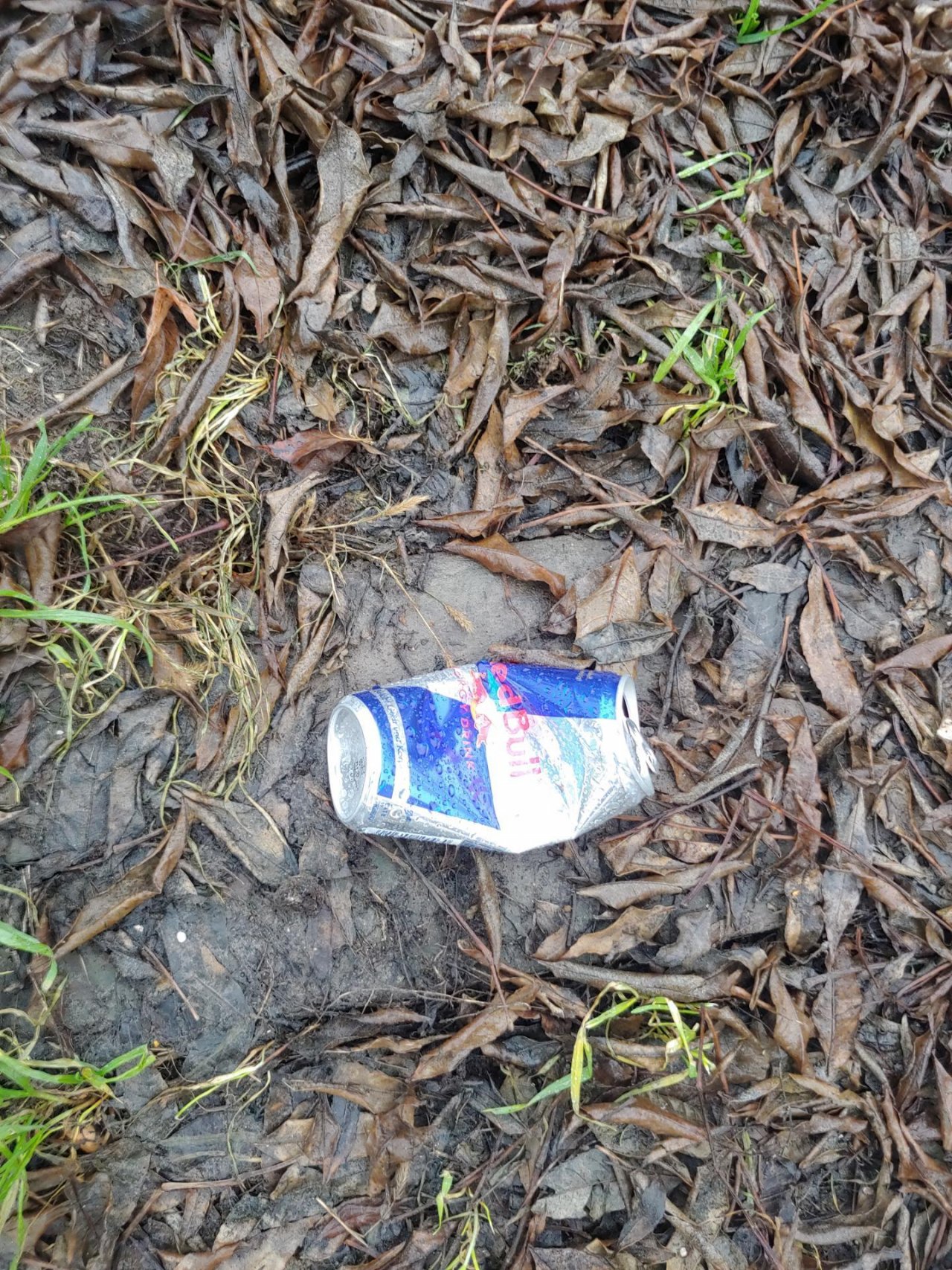 litter in DRECKSPOTZ | GLOBAL 2000 App spotted by Christian Kantner on 22.12.2020