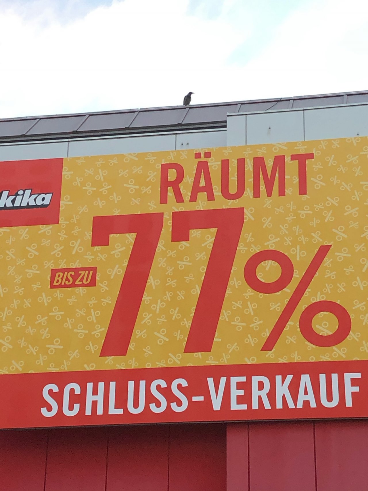Hooded Crow in KraMobil App spotted by Krarin on 31.12.2020