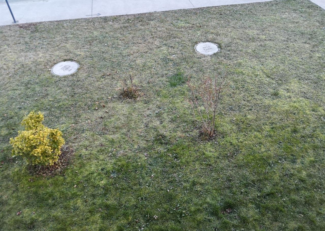 Reif in Naturkalender App spotted by Karluise on 27.12.2020