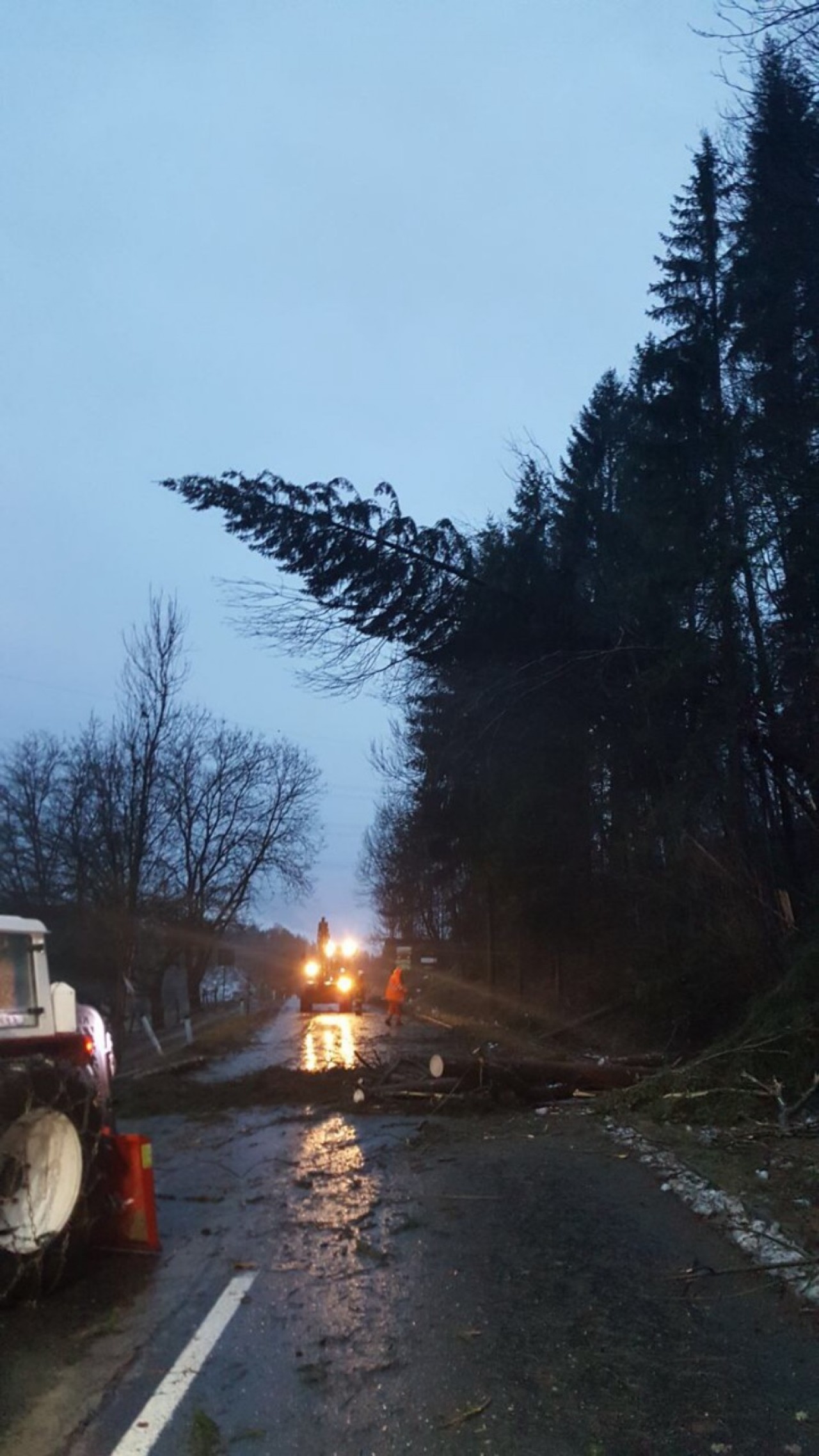 Das war 1 Tag nach dem Schneefall vor fast genau 3 Jahren 