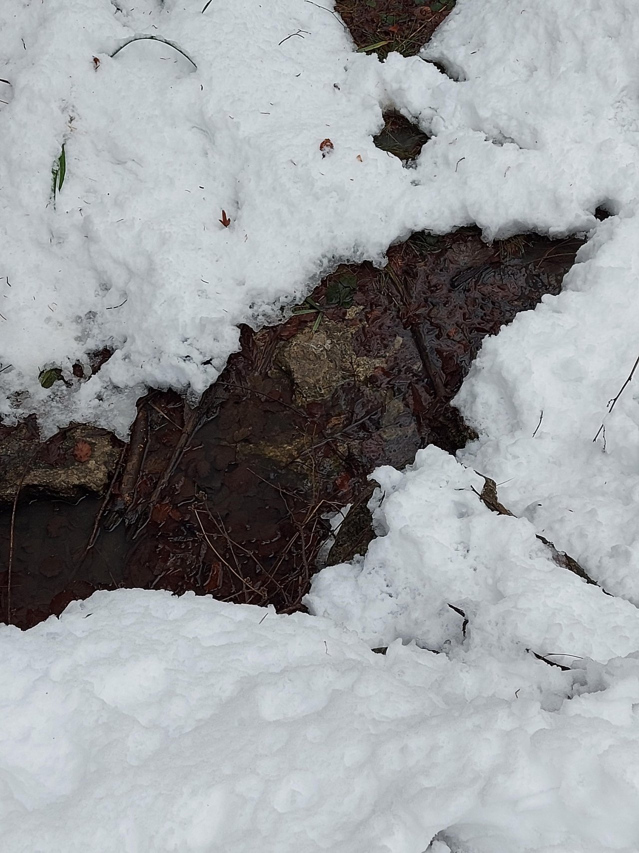 temporary stream in CrowdWater App spotted by Schmiri on 08.12.2020