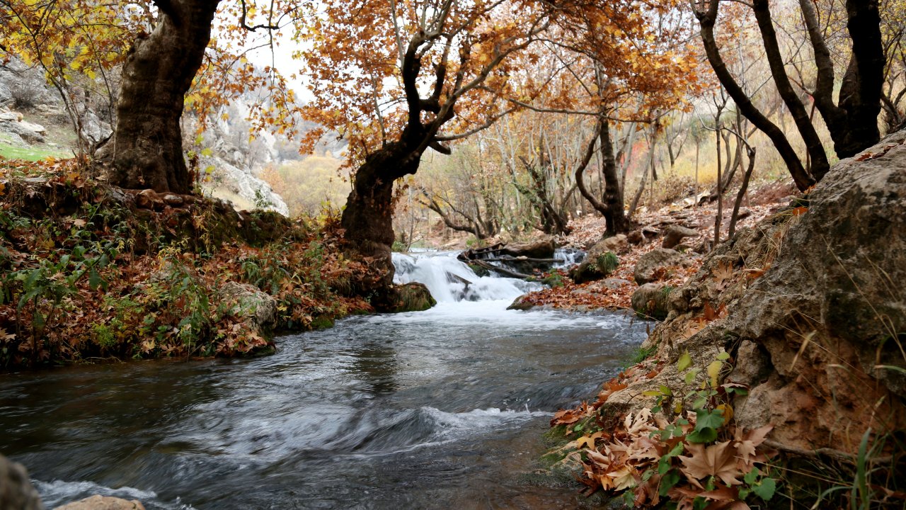 Osservazione di un corso d'acqua temporaneo