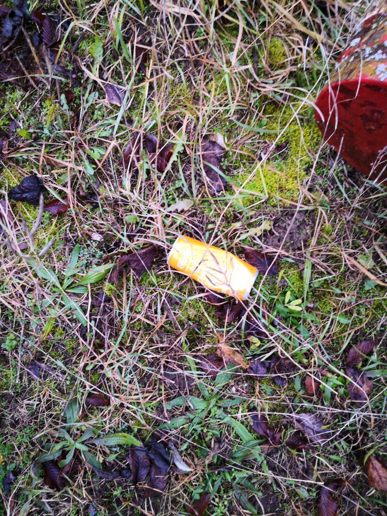 litter in DRECKSPOTZ | GLOBAL 2000 App spotted by Gina1234 on 02.01.2021