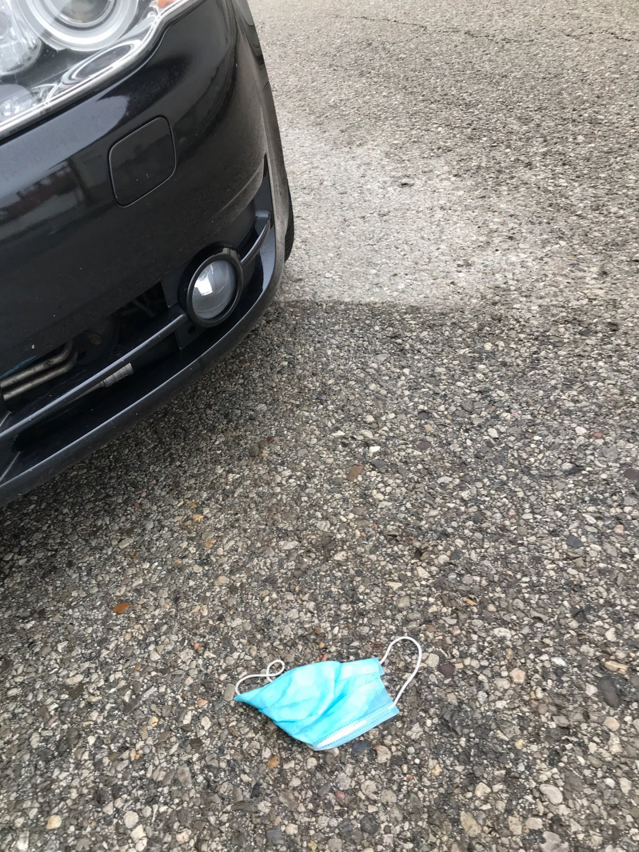 litter in DRECKSPOTZ | GLOBAL 2000 App spotted by Gabriele Kriz on 19.12.2020