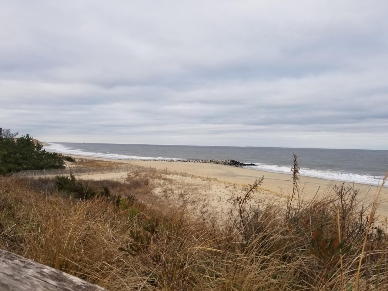 Coastsnap Station in CoastSnap App spotted by Grant Otto on 17.12.2020