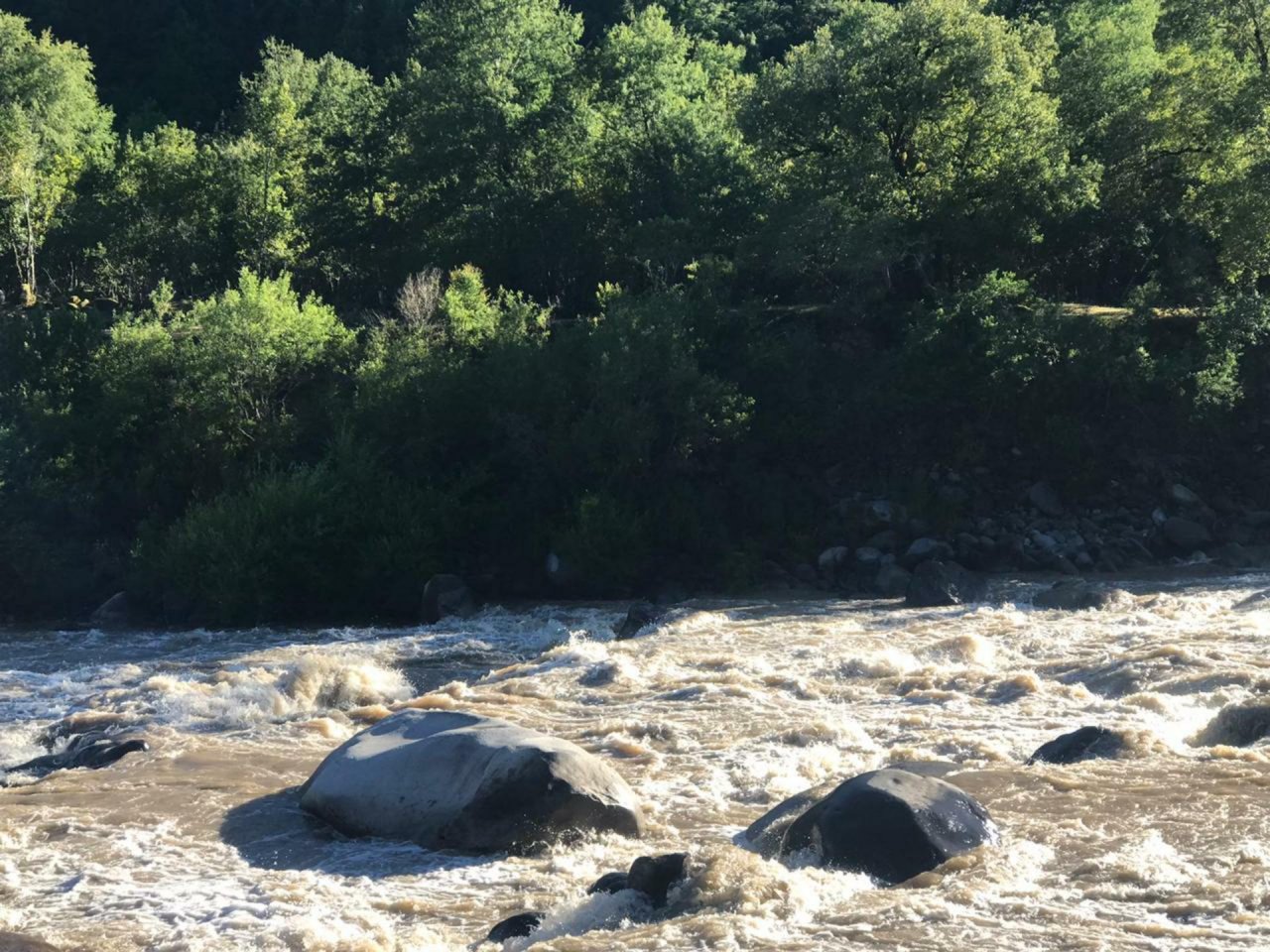 virtual scale in CrowdWater App spotted by Camila Bañales-Seguel on 13.12.2020