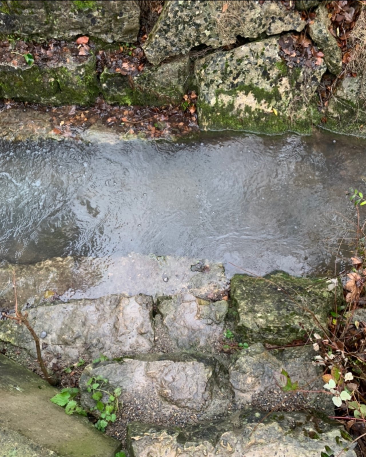 virtual scale in CrowdWater App spotted by Yarraa on 13.12.2020