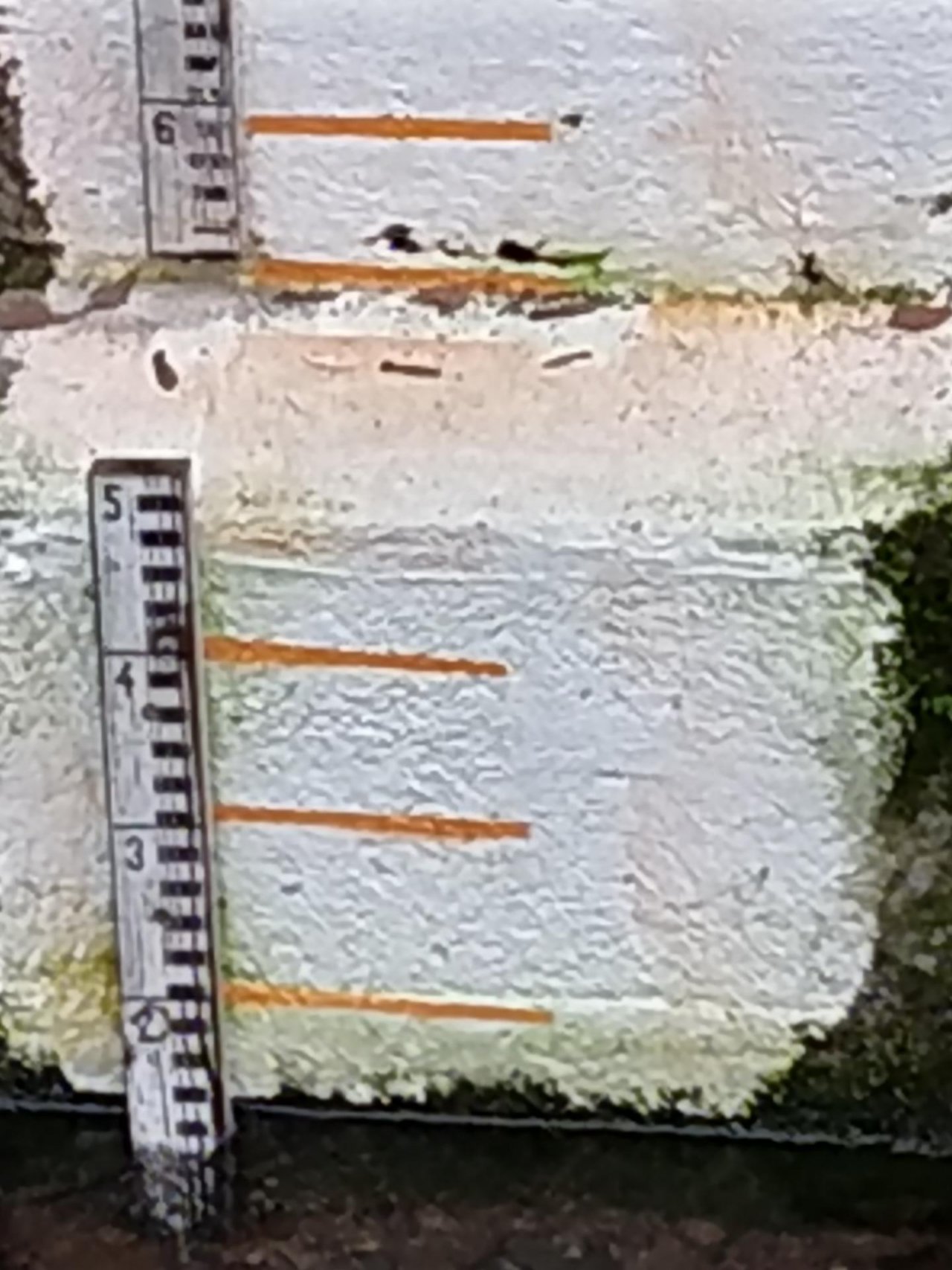 physical scale in CrowdWater App spotted by NoahatArk on 14.12.2020